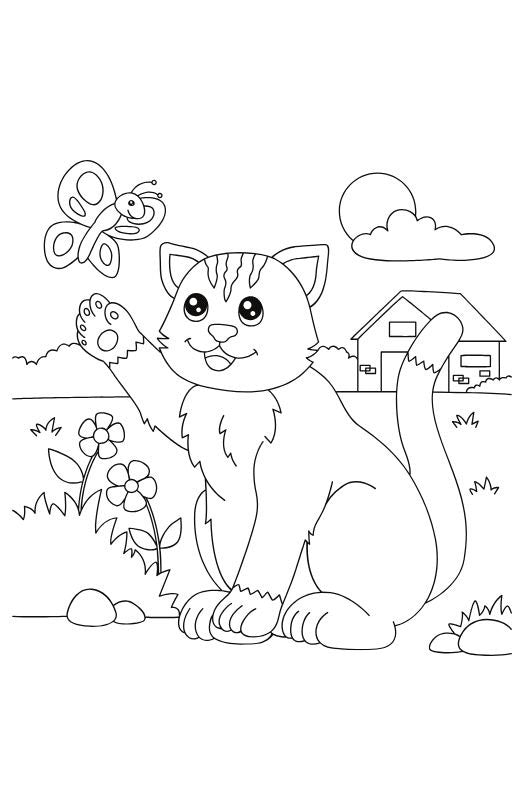 Animal Coloring Book
