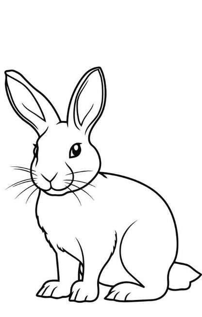 Animal Coloring Book